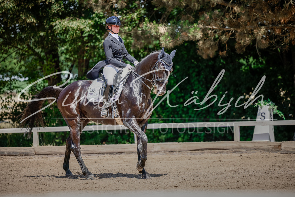20250622-_3LI3917 | Tierfotografie Pferde, Hunde, Katzen, Haustiere.
Turnierfotografie Reitturniere, Reiten, Springreiten, Dressur in Hanau, dem Main-Kinzig-Kreis und dem Rhein-Main- Gebiet um Frankfurt