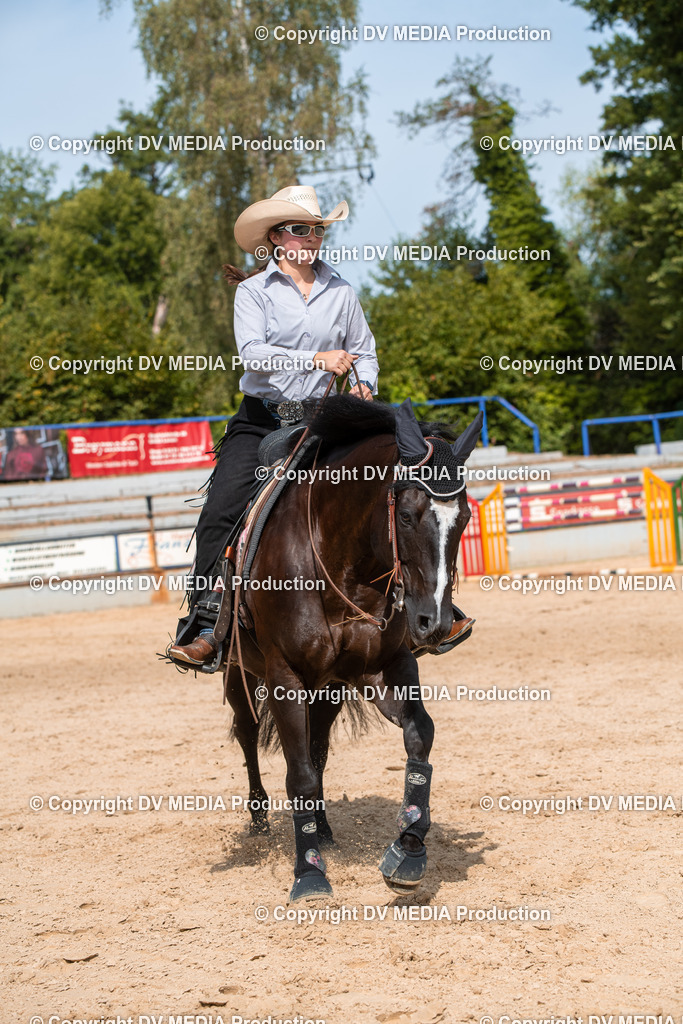 EWP_5953 | dv-media-shop - Realisiert mit Pictrs.com