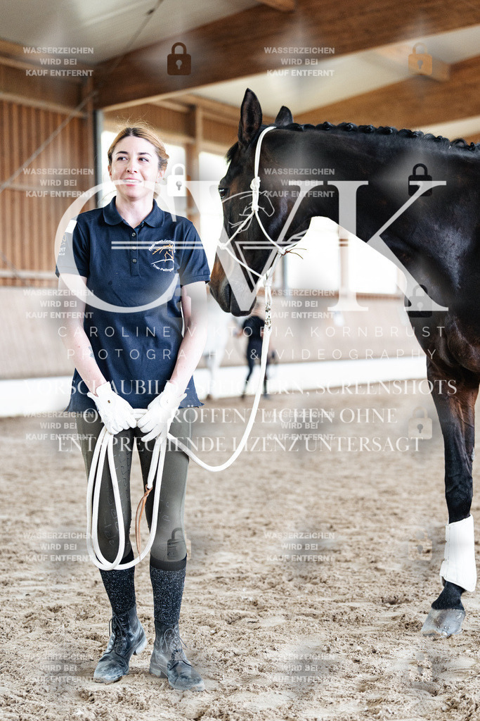 CK908144 | Turnierfotografie Pferdefotografie Trier Rheinland-Pfalz Pferdesport Reitsport Tierfotografie Sportfotografie Pferdevideo Pferdevideografie Equestrianvideography equestrianphotography  - Realisiert mit Pictrs.com
