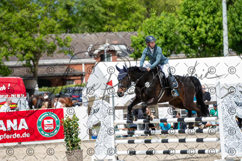 KPT_5602 | andre_photographic