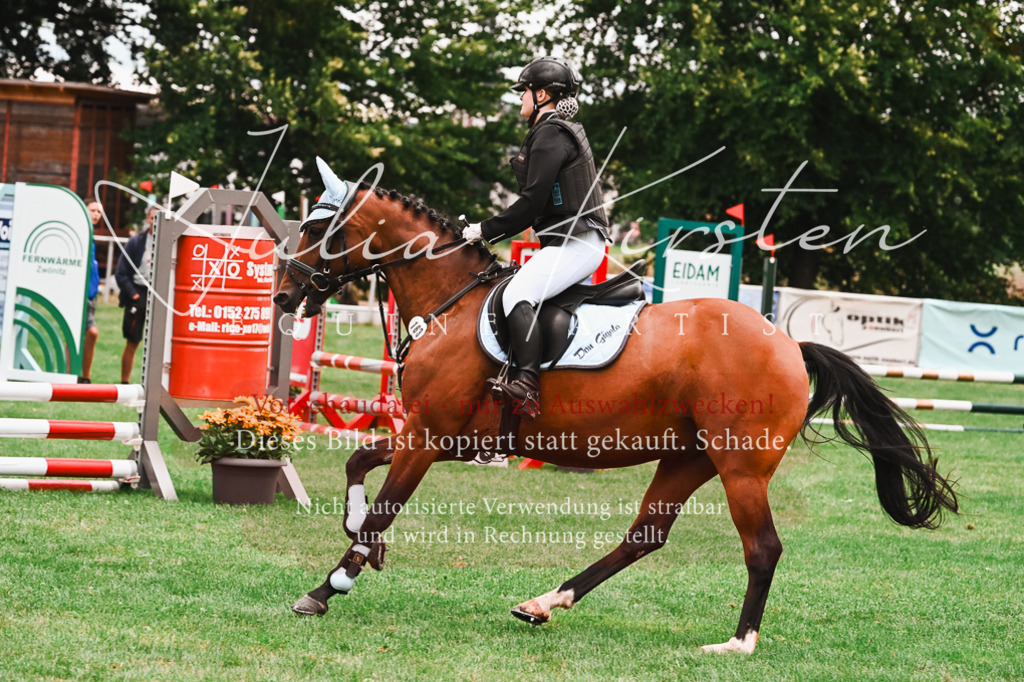 DSC_6040 | Pferde- und Turnierfotografie in Westsachsen. Pferdeportraits, Auftragszeichnungen und intuitive Kunst.
