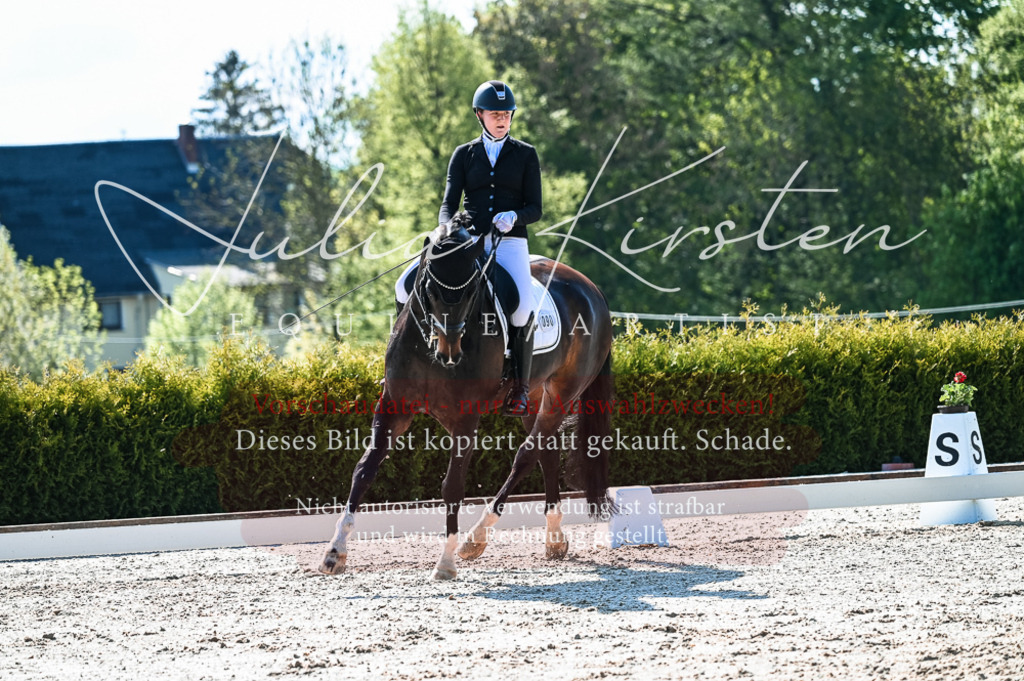20230513_JK-Röhrsdorf-10-0337 | Pferde- und Turnierfotografie in Westsachsen. Pferdeportraits, Auftragszeichnungen und intuitive Kunst.