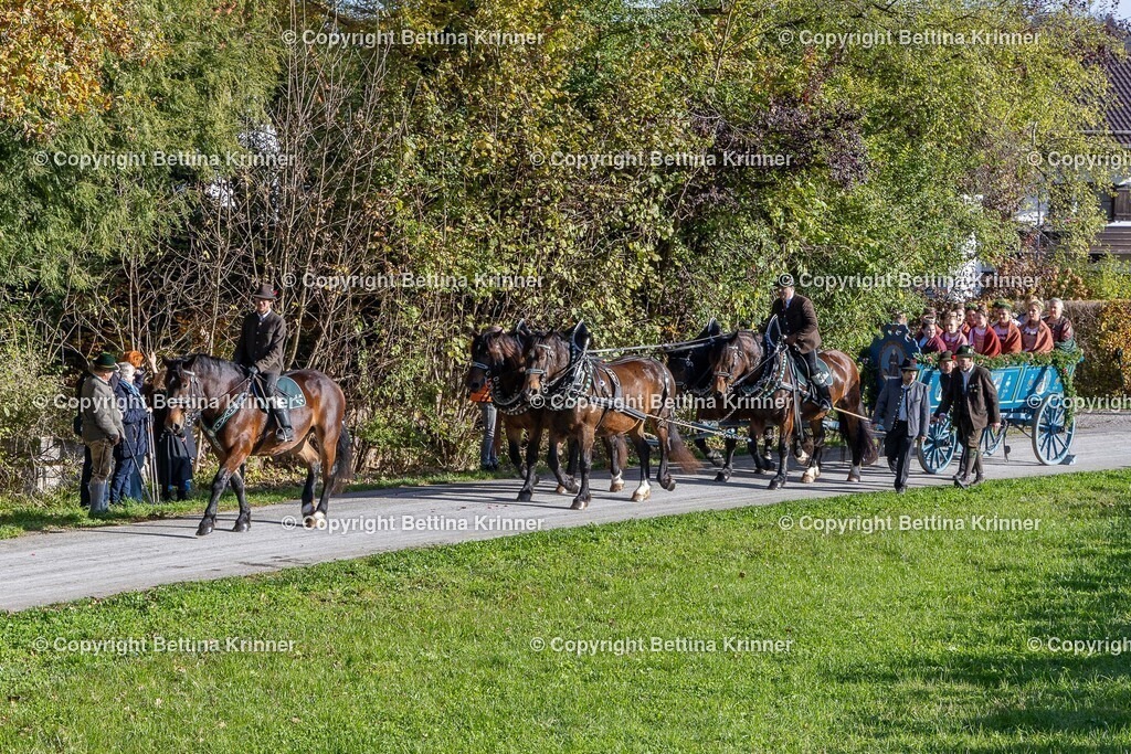LBT24-590 | foto-bettina-krinner - Realisiert mit Pictrs.com
