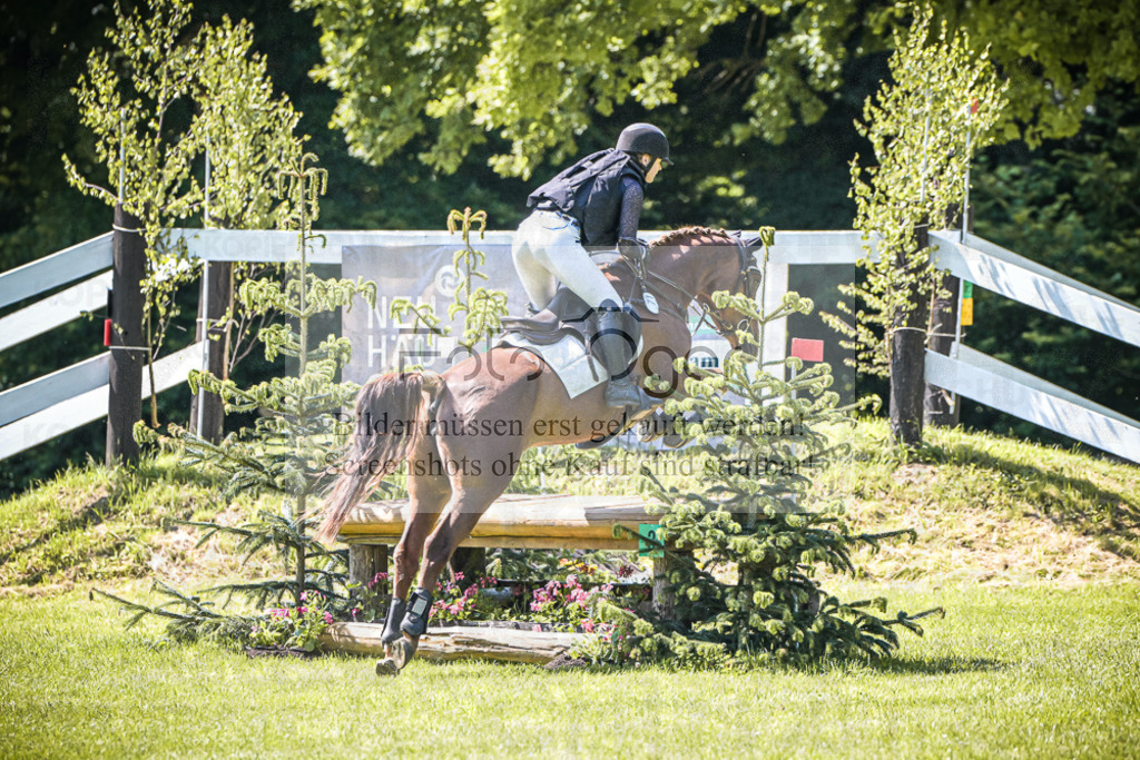 DOS_4185 | Entdecke hochwertige Reitturnierfotos von Foto Oger. Professionell, emotional und authentisch – jetzt Lieblingsmomente im Shop bestellen.Deutschlandweite Turnierfotografie. - Realisiert mit Pictrs.com