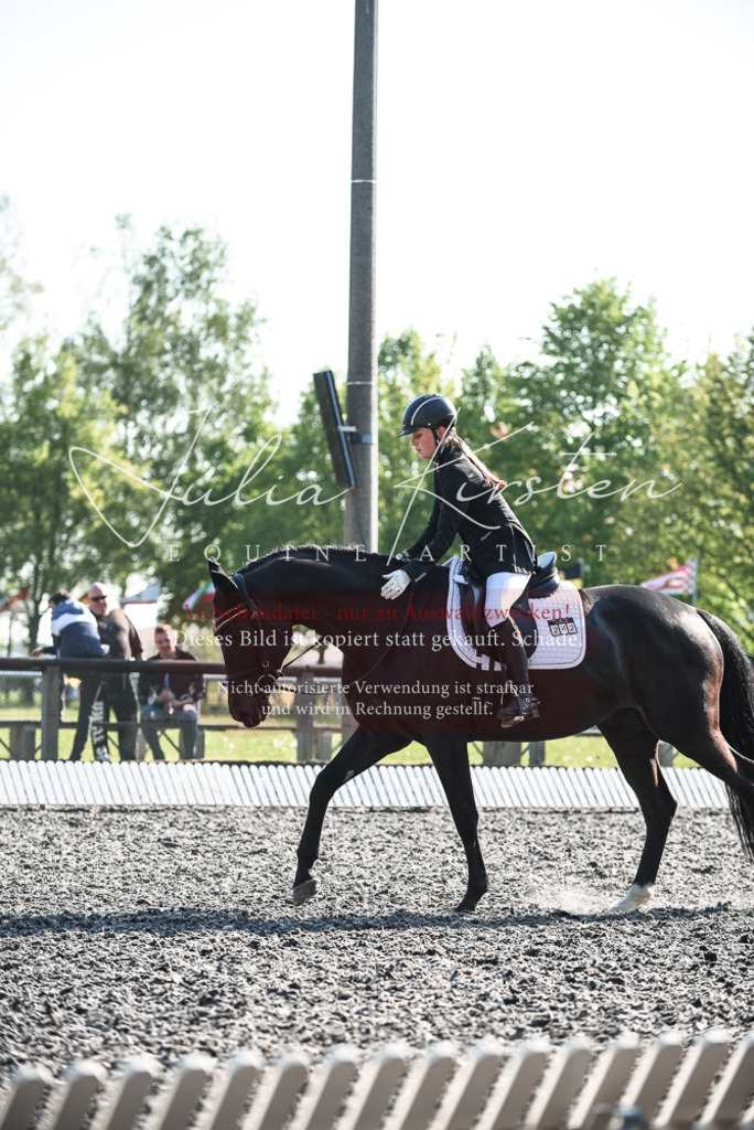 DSC_8360 | Pferde- und Turnierfotografie in Westsachsen. Pferdeportraits, Auftragszeichnungen und intuitive Kunst.