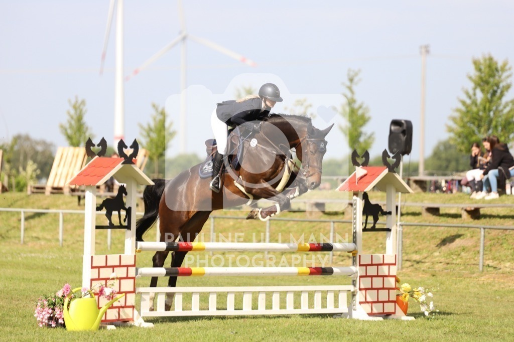 IMG_6940 | Pauline Ullmann Photography - Realisiert mit Pictrs.com