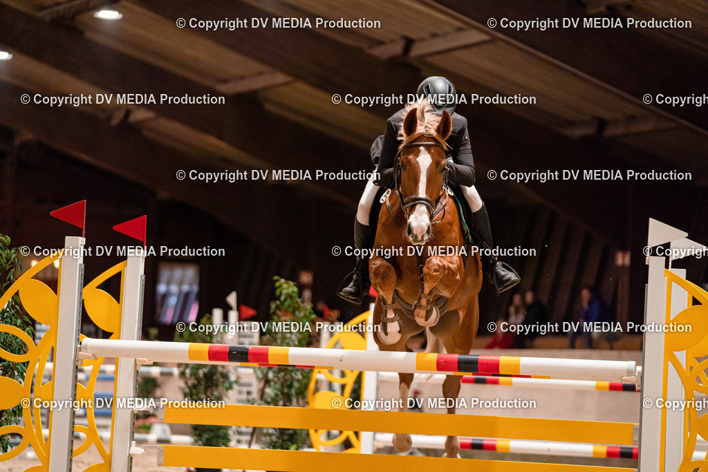 Springen Tag 1-782 | dv-media-shop - Realisiert mit Pictrs.com