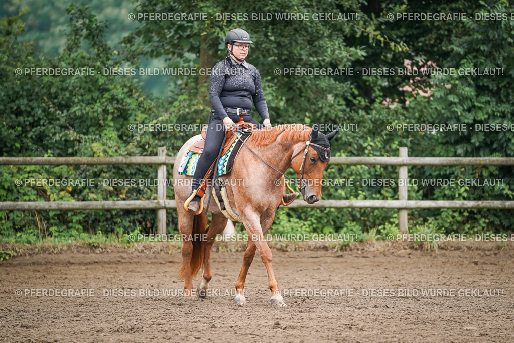 DSC01761 | Pferdegrafie