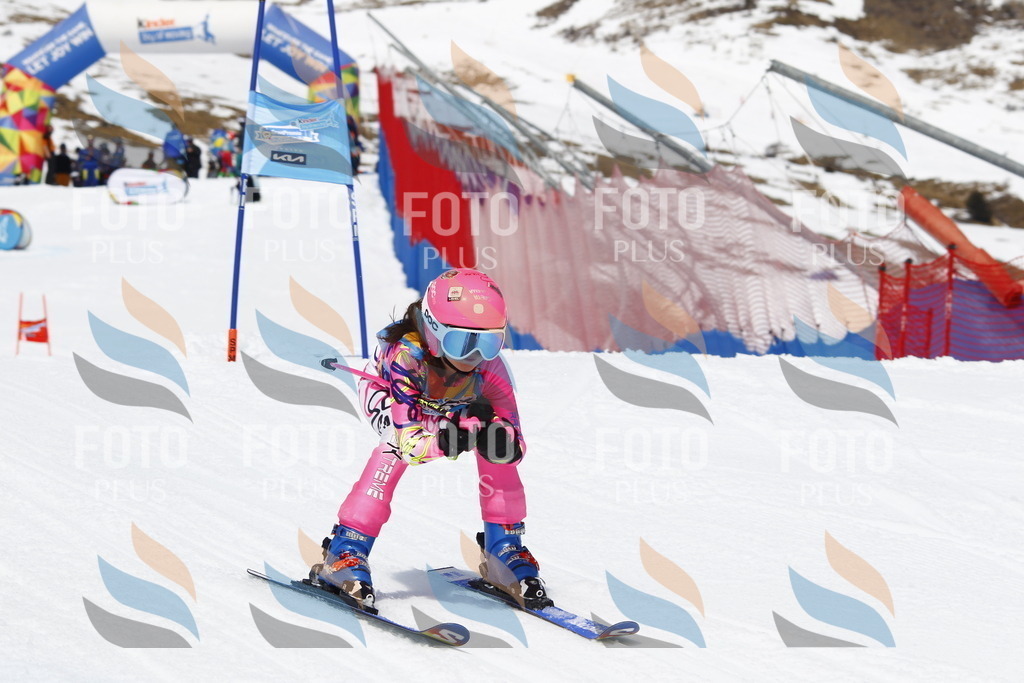 _U3G7948 | holidayphoto