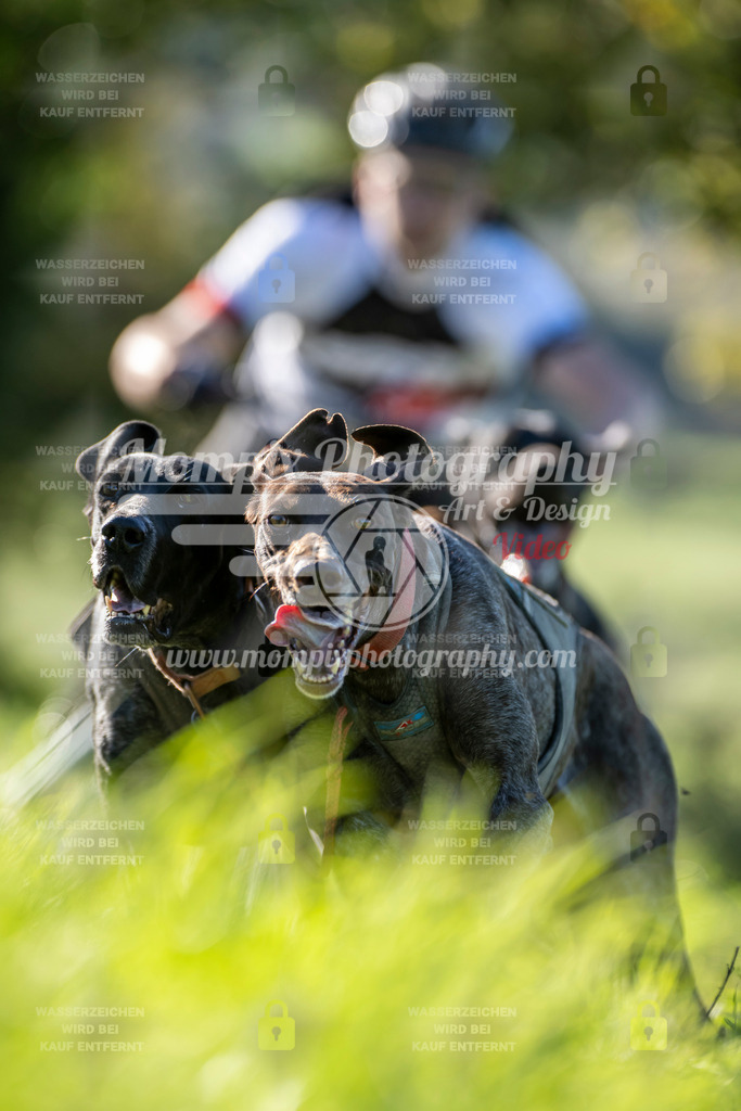 MompixPhotography_20TSB_E3_Kart-11 | PayLife