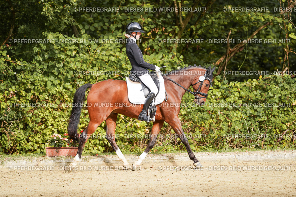 DSC09707 | Pferdegrafie