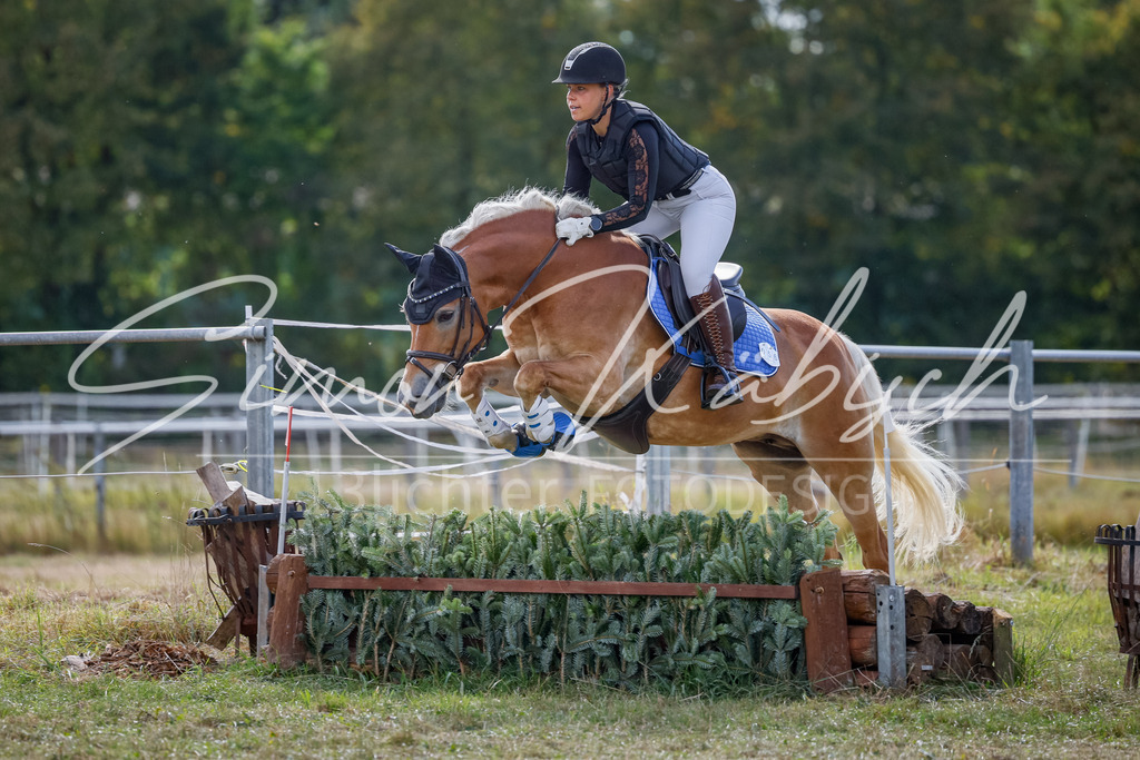 20250905-_3LI1076 | Tierfotografie Pferde, Hunde, Katzen, Haustiere.
Turnierfotografie Reitturniere, Reiten, Springreiten, Dressur in Hanau, dem Main-Kinzig-Kreis und dem Rhein-Main- Gebiet um Frankfurt