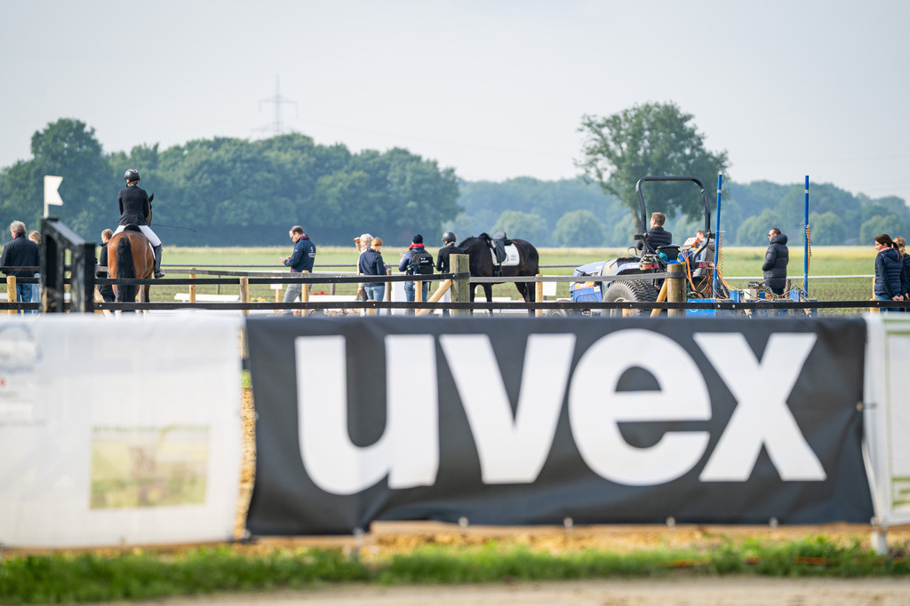 DSC09076 | Pferdegrafie