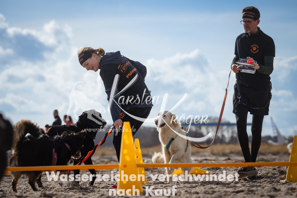 1319_ZZ91350 | kk-dogfotos