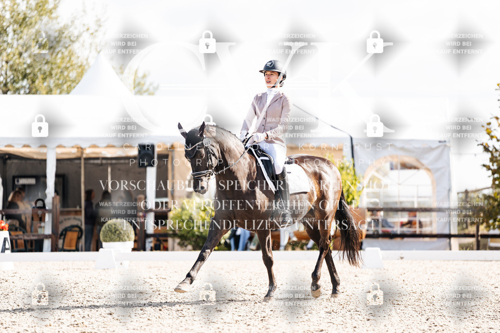 CK901925 | Turnierfotografie Pferdefotografie Trier Rheinland-Pfalz Pferdesport Reitsport Tierfotografie Sportfotografie Pferdevideo Pferdevideografie Equestrianvideography equestrianphotography  - Realisiert mit Pictrs.com