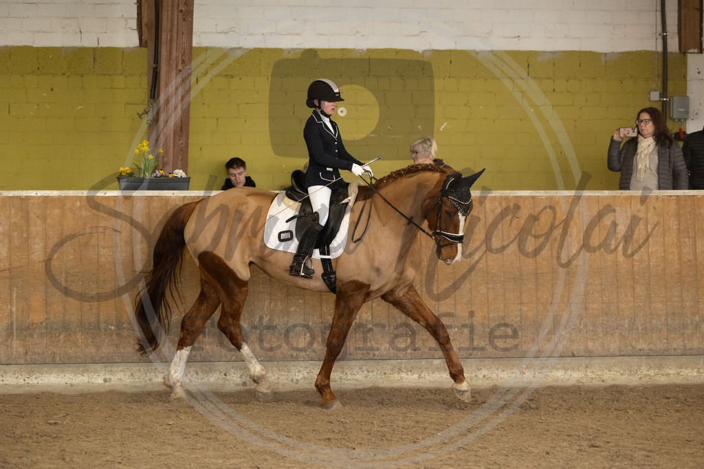 994A8895 | sabrinanicolaifotografie - Realisiert mit Pictrs.com