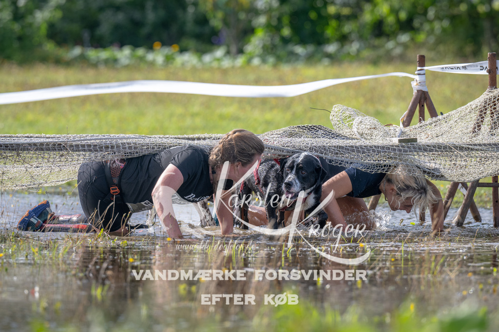 1131_ZZ92829 | kk-dogfotos