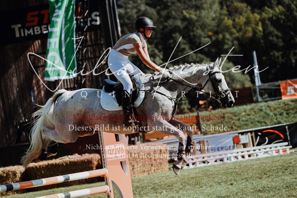 DSC_6879 | Pferde- und Turnierfotografie in Westsachsen. Pferdeportraits, Auftragszeichnungen und intuitive Kunst.