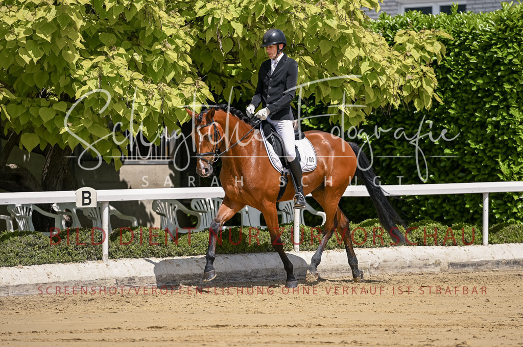 Schugtsche-Aluta25-48.Reitpferfdeprf.-206 | Schugtsche Fotografie - Realisiert mit Pictrs.com