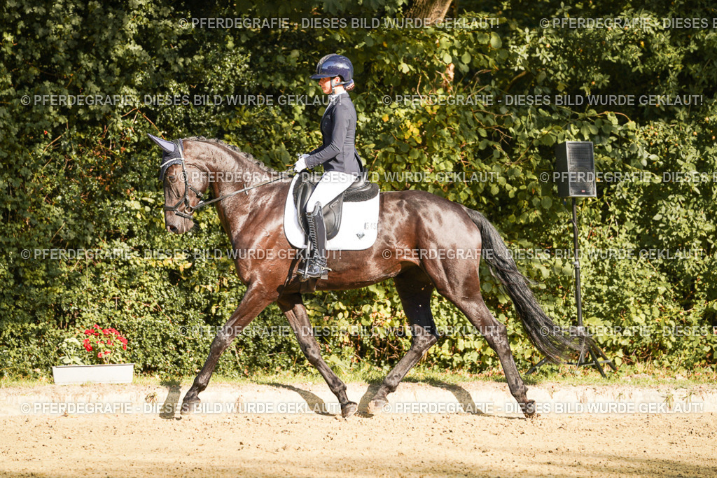 DSC05960 | Pferdegrafie