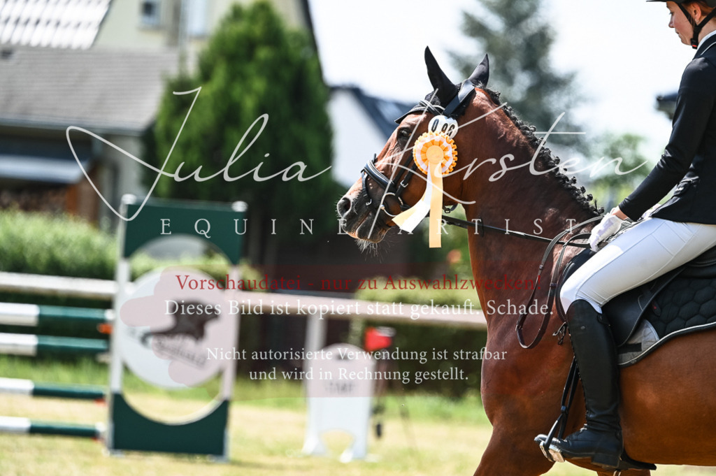 DSC_9529 | Pferde- und Turnierfotografie in Westsachsen. Pferdeportraits, Auftragszeichnungen und intuitive Kunst.