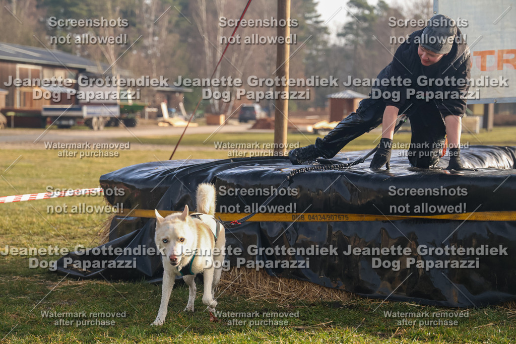 Dog Paparazzi - SD North 0326 900930-184 | Dog Paparazzi Jeanette Grottendiek Fotografie & Videografie - Realisiert mit Pictrs.com