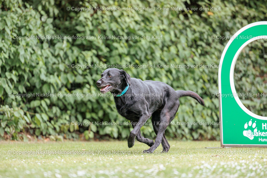 THS-Quakenbrück-2026-Nickbest-Hundefotografie-4066 | Dein Hund! Dein Moment! Deine Erinnerungen! Hundefotografie in Bremen Blumenthal. Ich fange die besonderen Momente deines Vierbeiners ein – ob Indoor mit Blitzanlage oder in der freien Natur. Sicher dir dein Moment und dein Termin für eure Erinnerungen.
