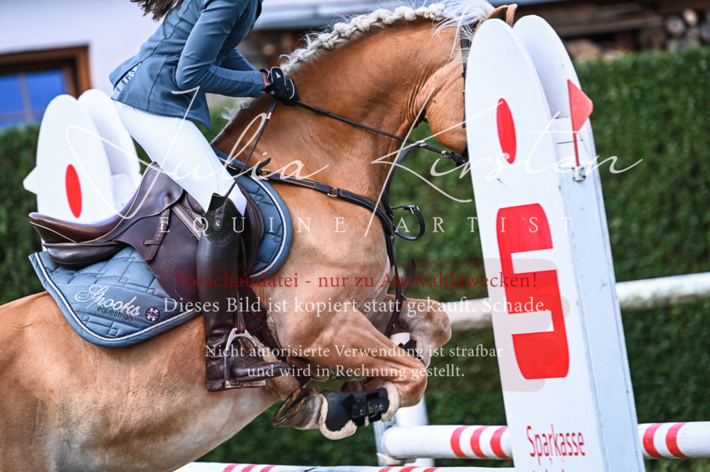 DSC_7940 | Pferde- und Turnierfotografie in Westsachsen. Pferdeportraits, Auftragszeichnungen und intuitive Kunst.