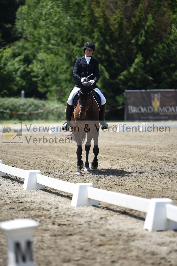 DSC_0154 | equestrian-live-com