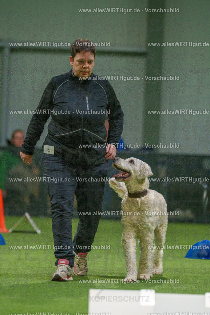 7R504307 | Professionelle Tierfotografie in Mönchengladbach von Daniel Wirth (allesWIRTHgut). Liebevolle & natürliche Bilder von Hunden & Katzen für unvergessliche Erinnerungen.
