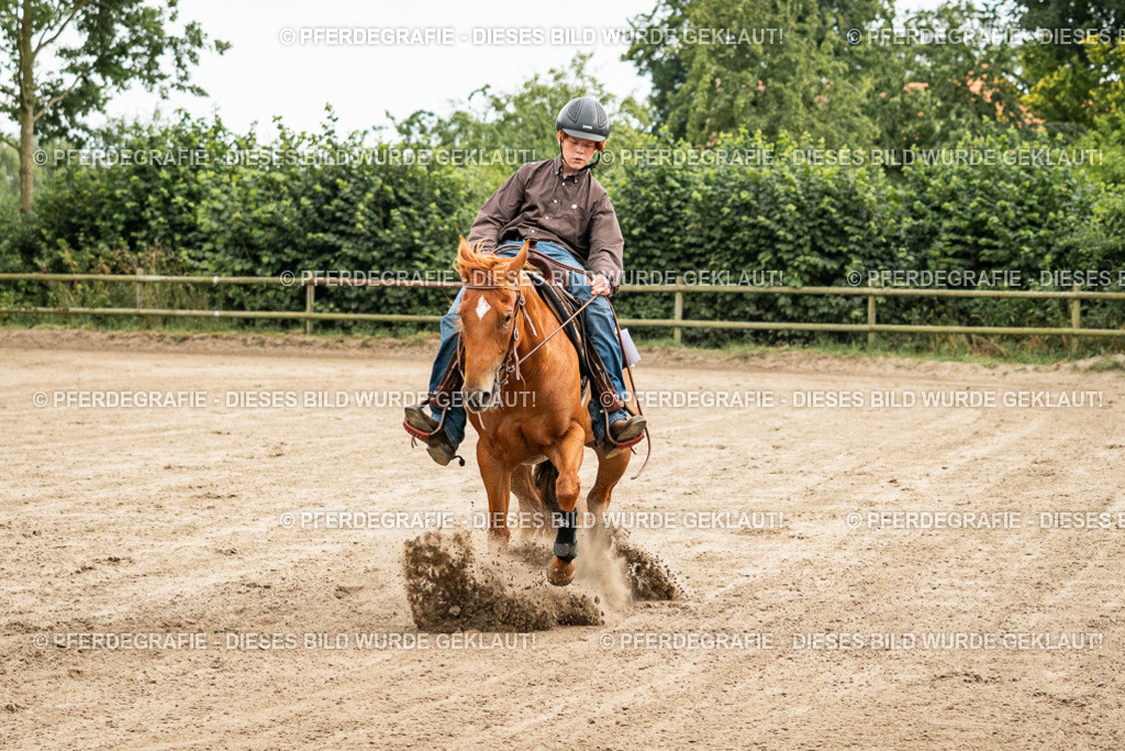 DSC04860 | Pferdegrafie