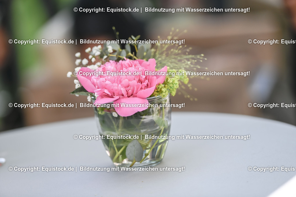 D78_3431 | equistock