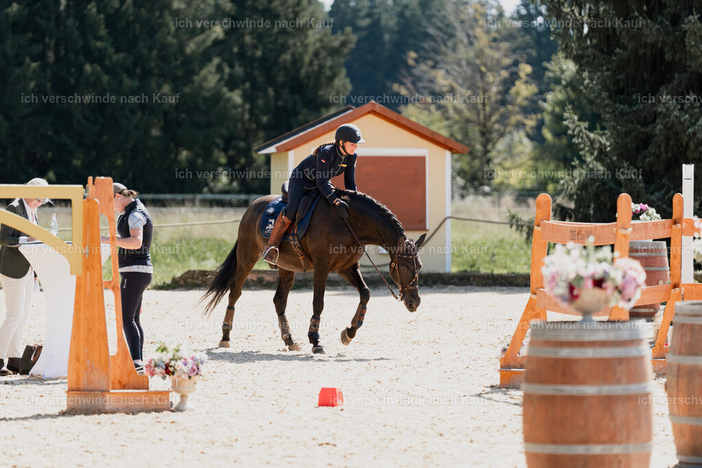 Mirjam25_FHC2025-08688 | working equitationturnier fotograf videograf stoibphotography marixx film working equitation deutschland reitsport turnierfotografie eventfotografie equestrian events