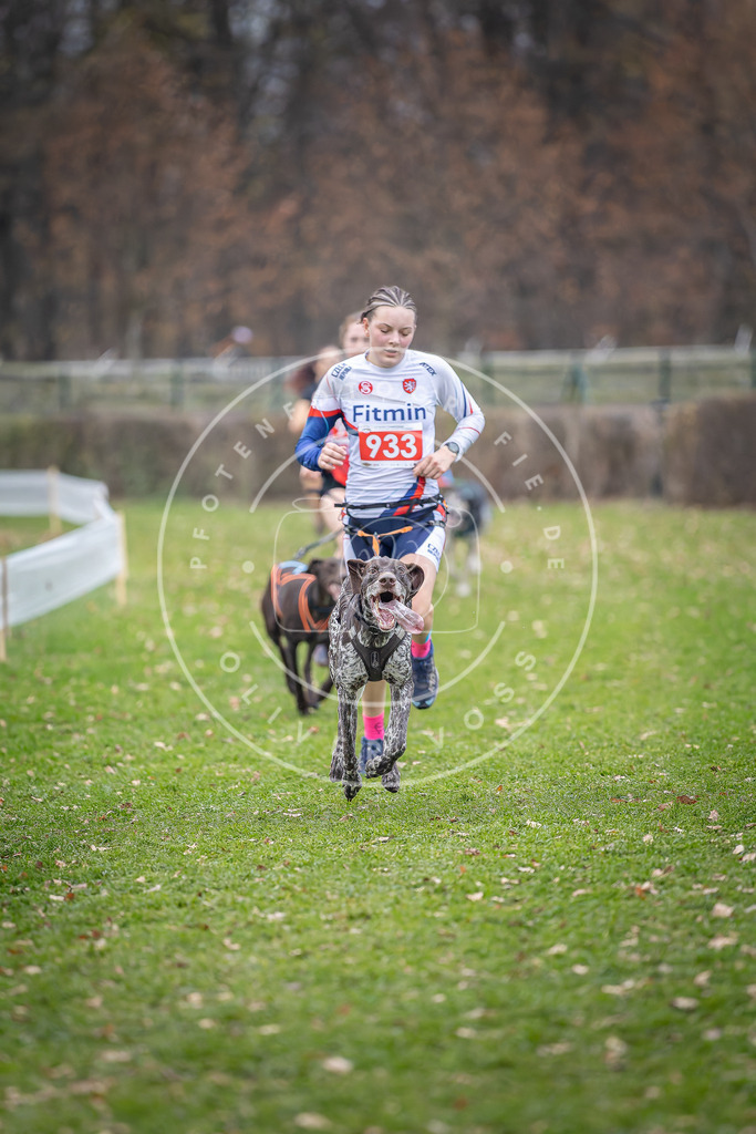 CaniXpix_DV3A7159 | Hundefotografie, Tierfotograf, Pfotenfotografie, Fotoshooting Hund, Hunde Portrait, Hundesport, Hundeportraits, Heideshooting, Hunde, Sportfotograf, Hundefotograf, Turnierhundsport, THS,  - Realisiert mit Pictrs.com