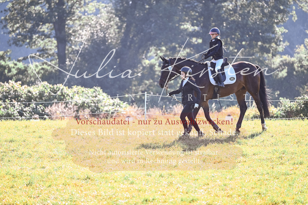 DSC_0243 | Pferde- und Turnierfotografie in Westsachsen. Pferdeportraits, Auftragszeichnungen und intuitive Kunst.