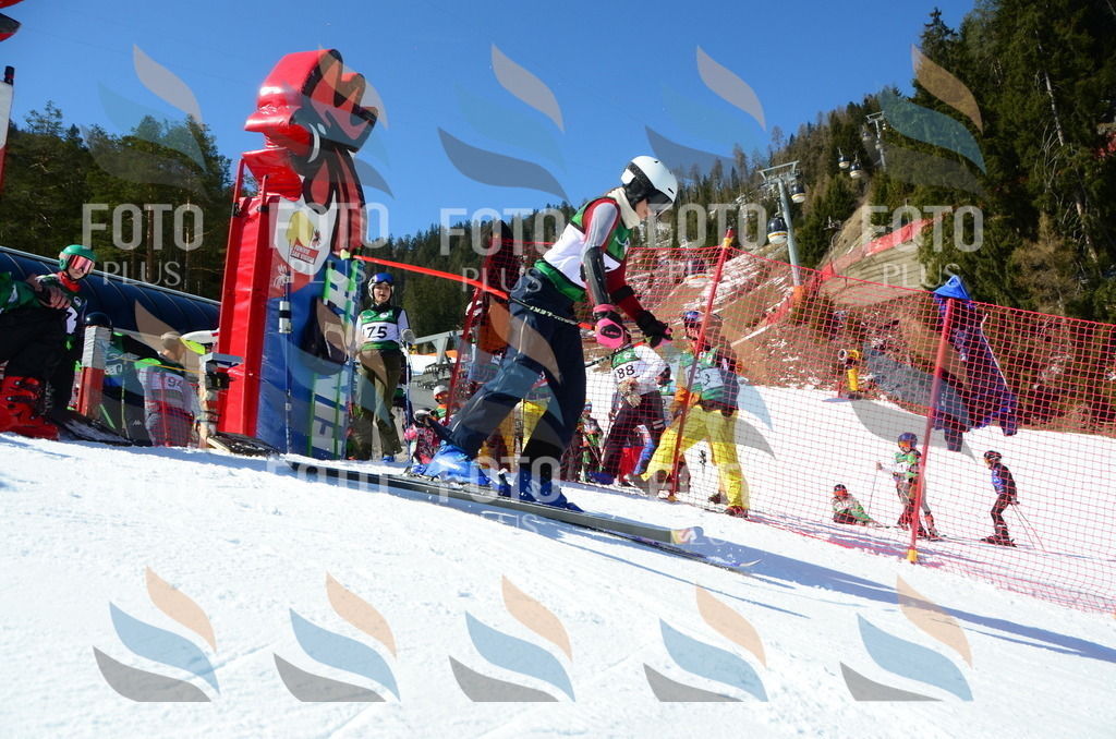 C6295 | holidayphoto