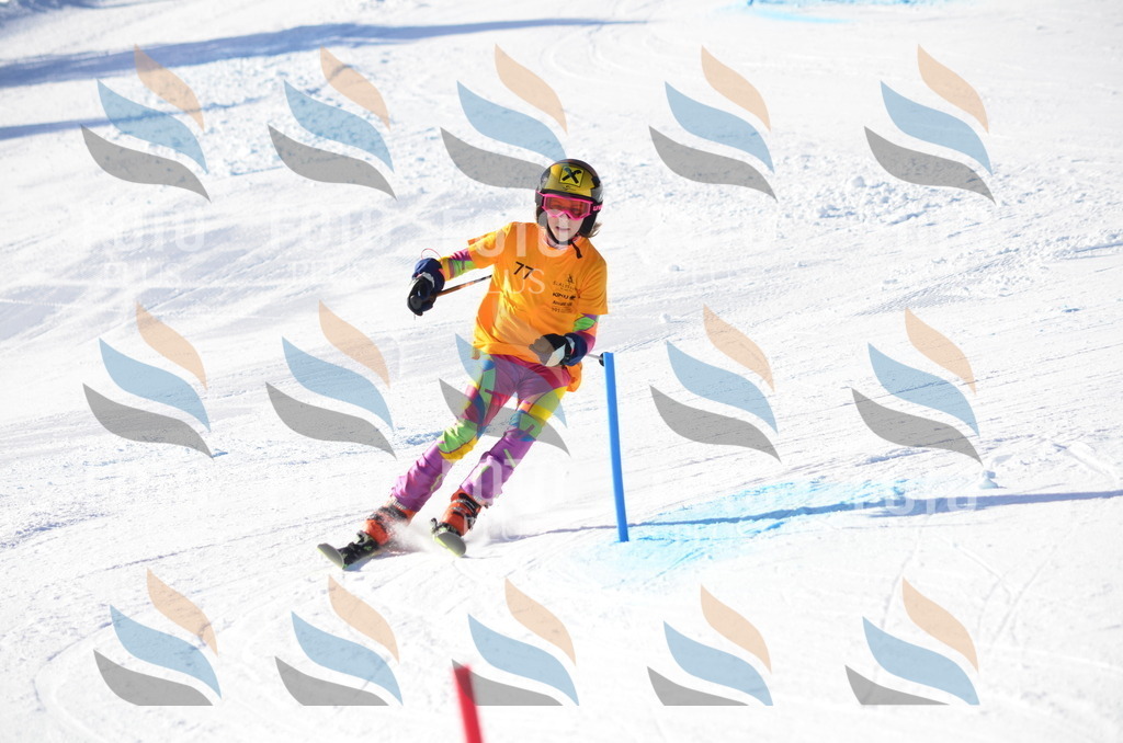 C5951 | holidayphoto