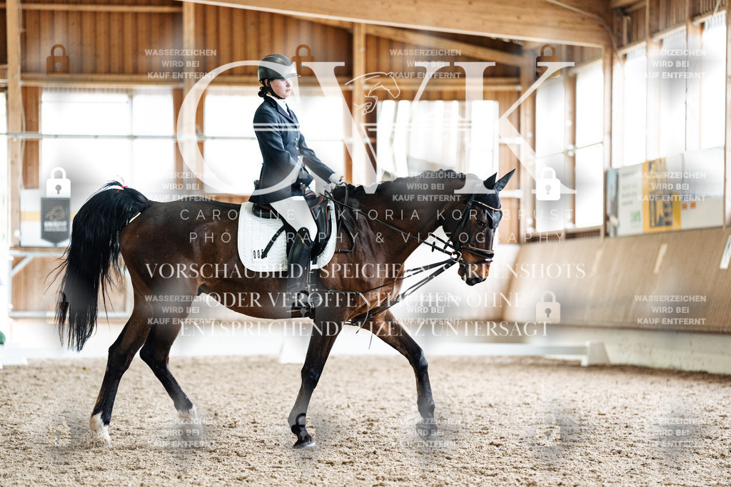 CK901773 | Turnierfotografie Pferdefotografie Trier Rheinland-Pfalz Pferdesport Reitsport Tierfotografie Sportfotografie Pferdevideo Pferdevideografie Equestrianvideography equestrianphotography  - Realisiert mit Pictrs.com