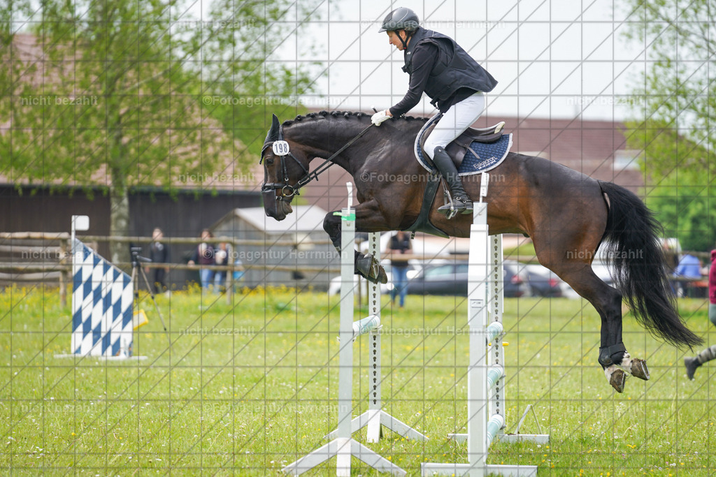 20230520-FAH05189 | Frühjahrsturnier, Landsberg am Lech, 2023, Reitclub Landsberg, Turnierbilder, Fotos Turnier Landsberg, Fotoagentur Herrmann, Turnierfotografen Bayern, Reitsport Fotograf, Pferde Fotograf