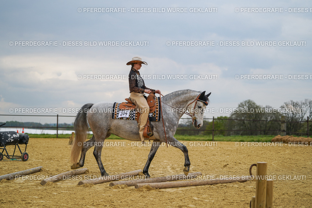 DSC07371 | Pferdegrafie