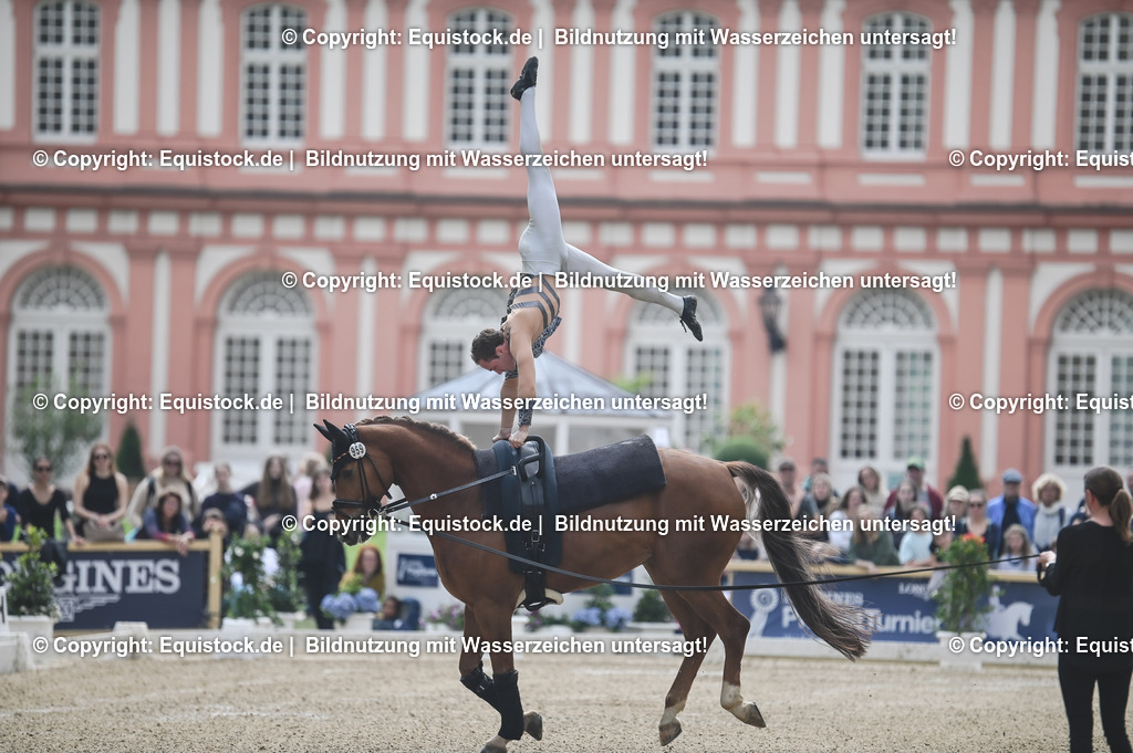 20240519_Voltige_0559 | Foto: Thomas Hartig