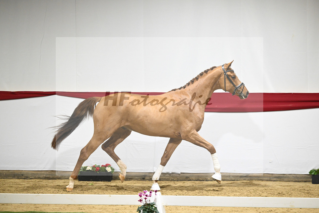 Kat-Nr. 52 v. Vivino_ZG Syha u Winkler_63221453 | hf-fotografie - Realizzato con Pictrs.com