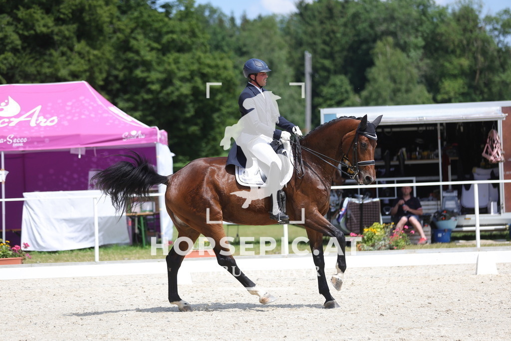 0P6A6596 | Willkommen bei Brunnmayr - Design & Fotografie – Ihrem Spezialisten für Reitturniere und Pferdeveranstaltungen in Oberösterreich, Salzburg und Bayern! Seit über 17 Jahren sind wir leidenschaftlich dabei.