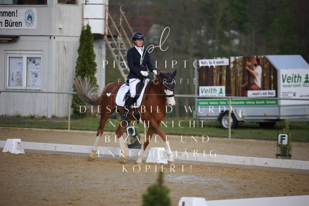 IMGT8406 | pl-fotografie