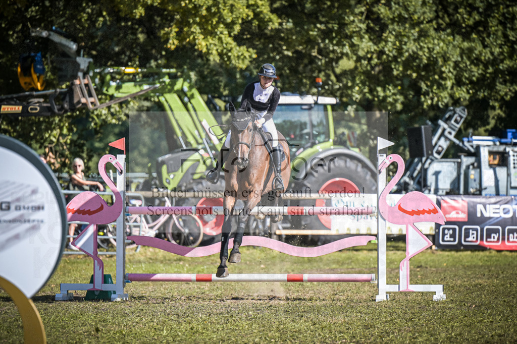 DOS_0991 | Entdecke hochwertige Reitturnierfotos von Foto Oger. Professionell, emotional und authentisch – jetzt Lieblingsmomente im Shop bestellen.Deutschlandweite Turnierfotografie. - Realisiert mit Pictrs.com