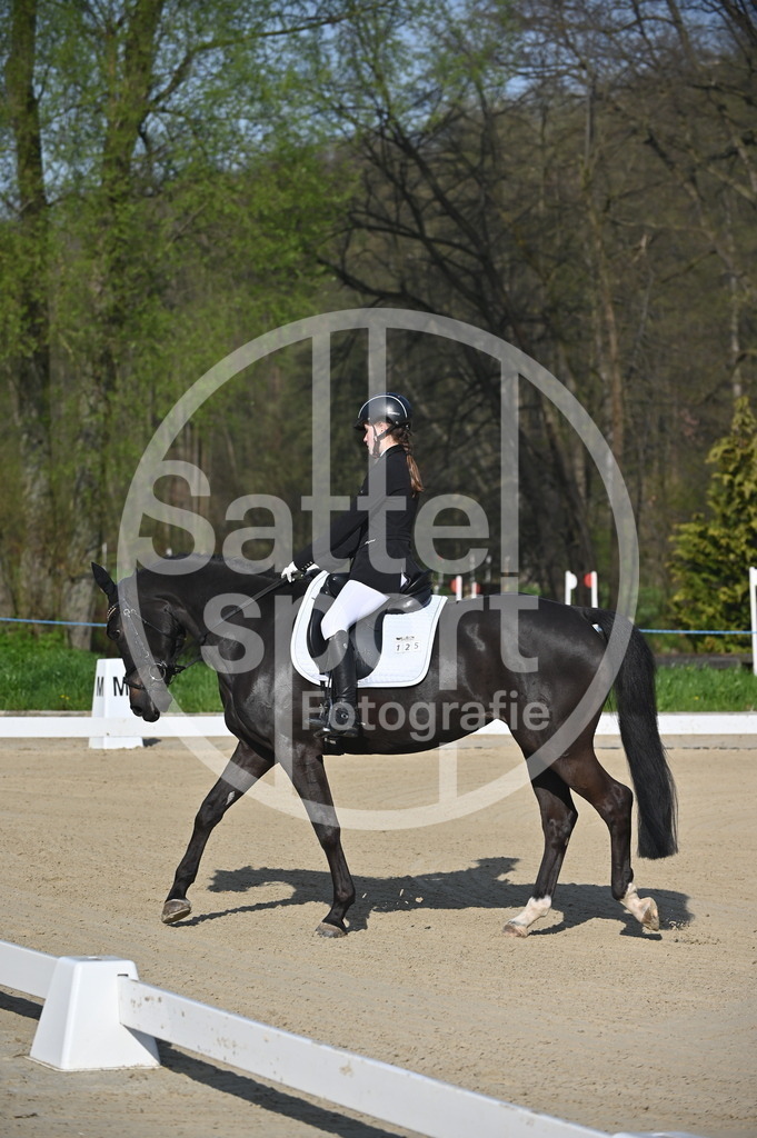 DSC_9903 | sattelsport - Realisiert mit Pictrs.com