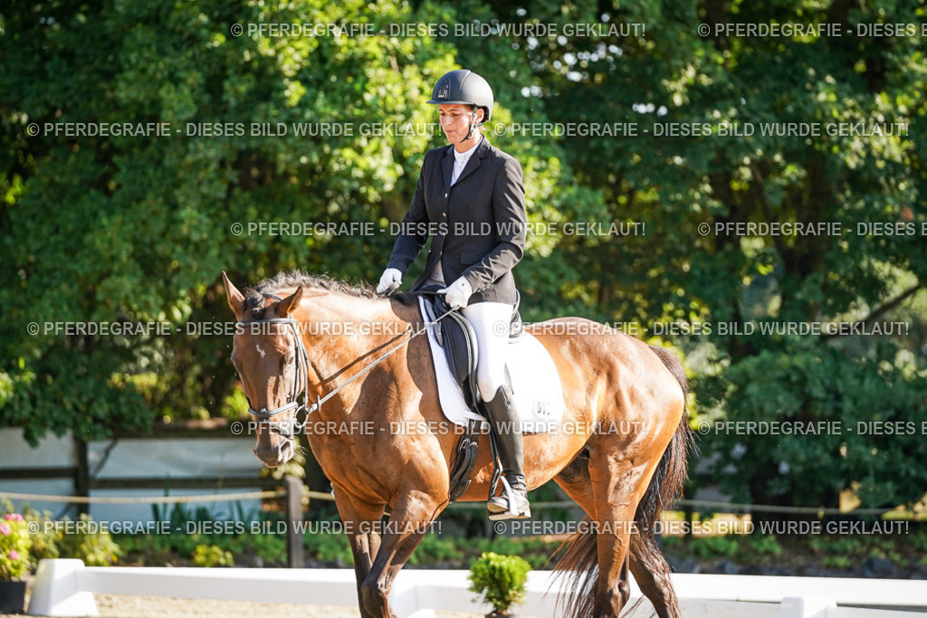 DSC08453 | Pferdegrafie