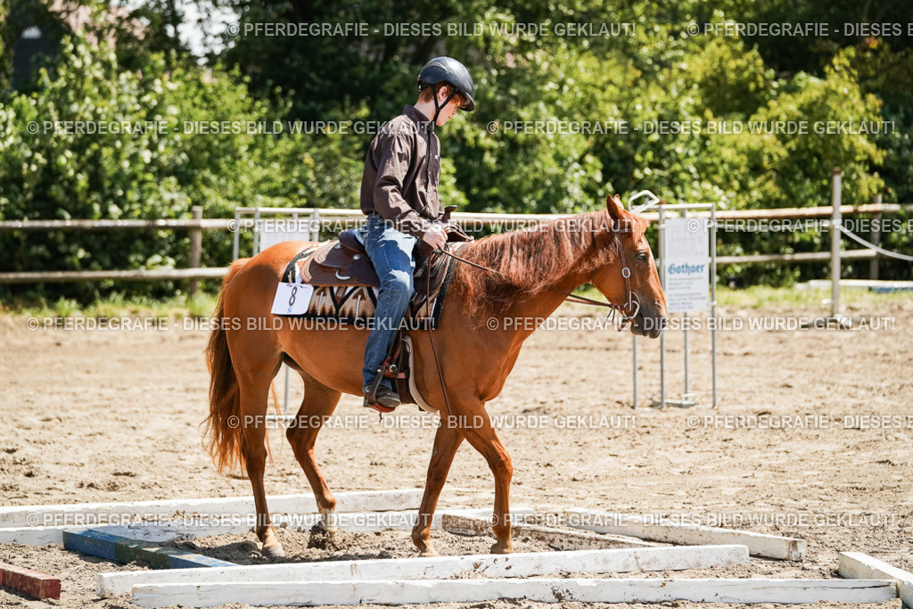 DSC07540 | Pferdegrafie