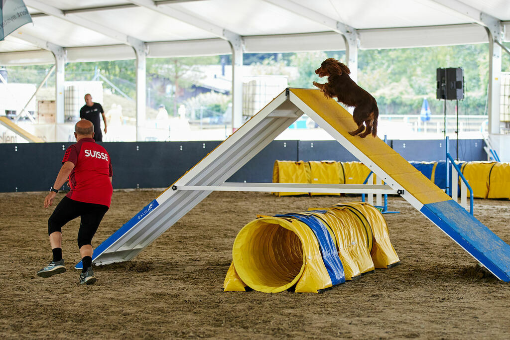 580A0240 | Peter Fridle Fotografie - Realisiert mit Pictrs.com