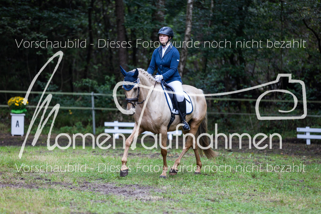 HB-A-Dressur-065 | MomenTaufnahmen Pferdesportfotos